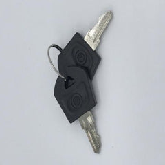 Set of 2 Keys for Omni Switch